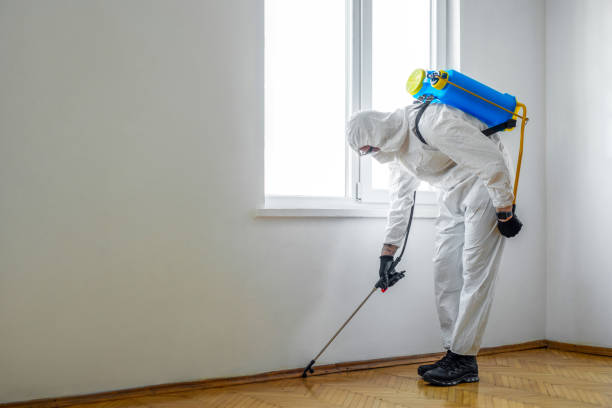 Best Affordable Pest Control Services  in Brush, CO